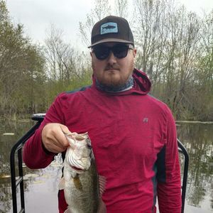 Meet your Posher, Sterling